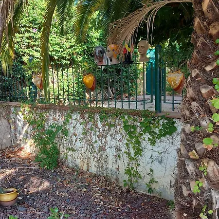 Apartment & - Panoramic Olivars Pau