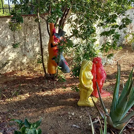 & - Panoramic Olivars Pau