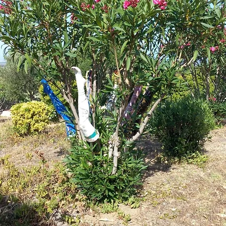 & - Panoramic Olivars Appartement